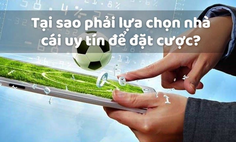 Tại sao phải lựa chọn nhà cái uy tín để đặt cược